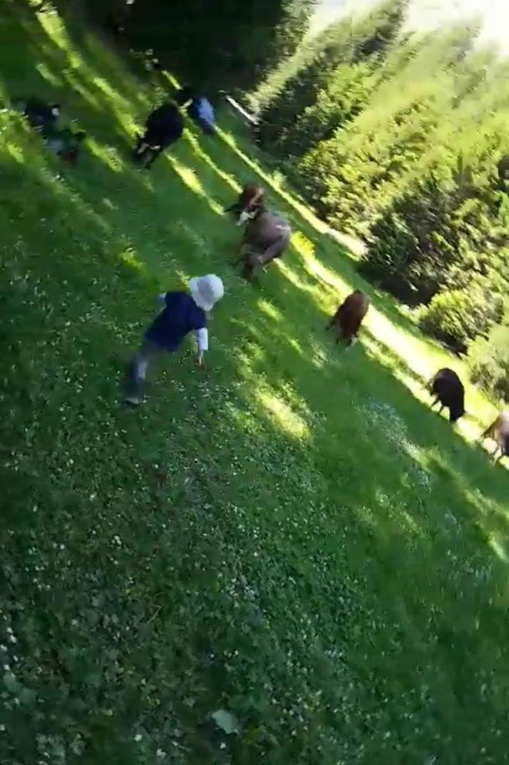 Lodge Isov Ranch Plav