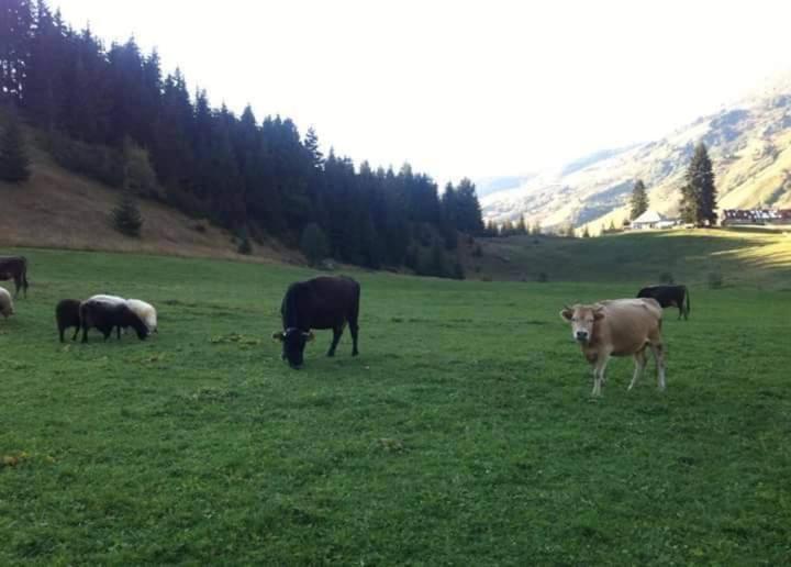 Isov Ranch *
