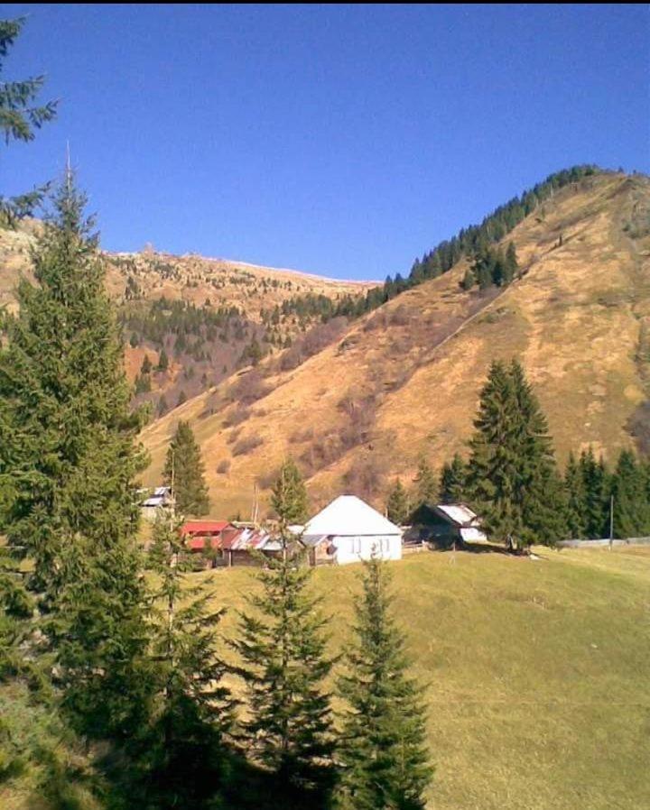 Isov Ranch Lodge Plav